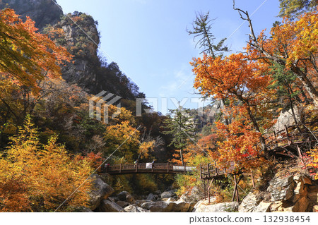 Seoraksan national park, colored in autumn leaves Seoraksan national park, colored in autumn leaves 132938454