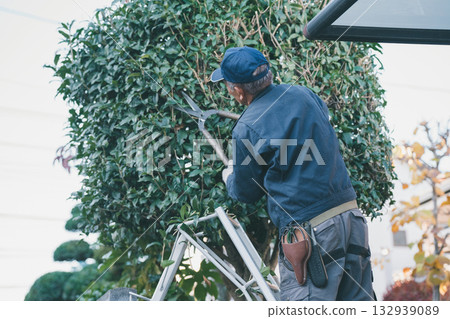 pruning, master gardener, gents 132939089
