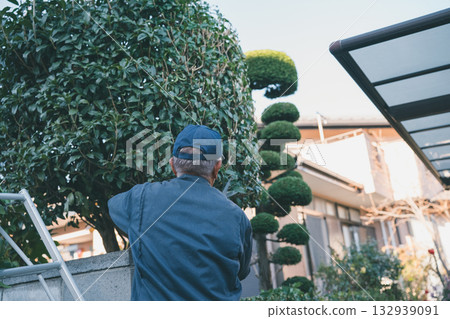 pruning, master gardener, gents 132939091