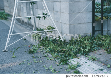 garden, pruning, falling leafe 132939097