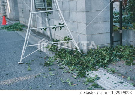garden, wood, falling leafe 132939098
