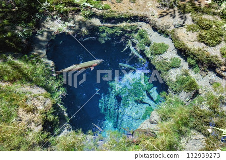 奧卡瑪池塘清澈見底，還有虹鱒魚 132939273