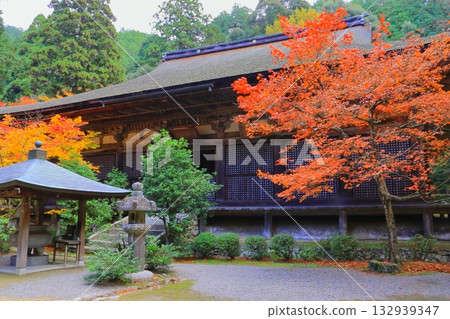 秋天的金剛林寺（滋賀縣愛莊町國寶大殿） 132939347