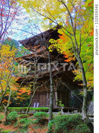 Kongorinji Temple in autumn (three-story pagoda, Aisho Town, Shiga Prefecture, vertical composition) Kongorinji Temple in autumn (three-story pagoda, Aisho Town, Shiga Prefecture, vertical composition) 132939348