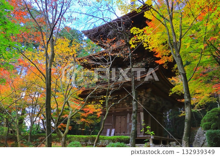 Kongorinji Temple in autumn (three-story pagoda, Aisho Town, Shiga Prefecture) 132939349