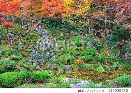 秋天的金剛林寺(滋賀縣愛莊町名樹院) 秋天的金剛林寺(滋賀縣愛莊町名樹院) 132939380