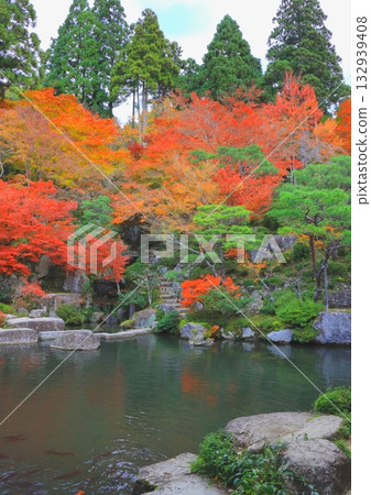 Autumn at Baekje Temple (Main temple - Kimi-in Garden, Higashiomi City, vertical composition) 132939408