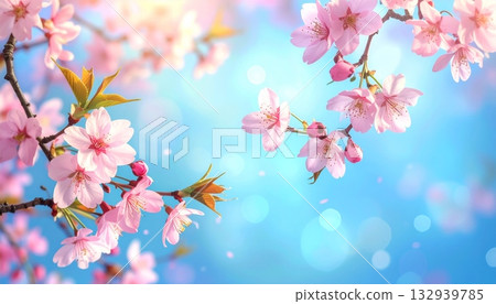 Pink cherry blossom flowers bloom on a tree branch, creating a beautiful spring nature background under the sky 132939785