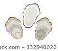 Oyster shell illustration Oyster shell illustration 132940020
