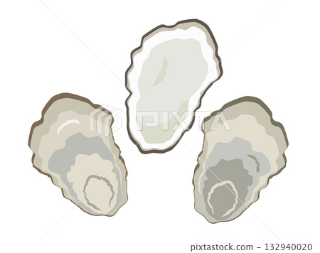 牡蠣殼插圖 132940020