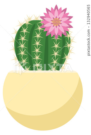 盛開的仙人掌插圖 132940565