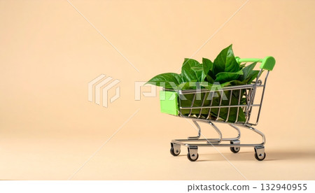 Green plant growing inside an empty metal shopping cart trolley for sustainable retail business and commerce purchase 132940955