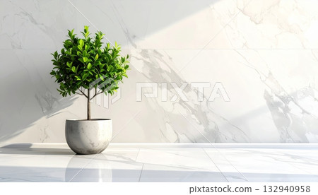 Potted houseplant decoration with green leaves and a rosemary herb in a brown pot isolated for interior home botany Potted houseplant decoration with green leaves and a rosemary herb in a brown pot isolated for interior home botany 132940958