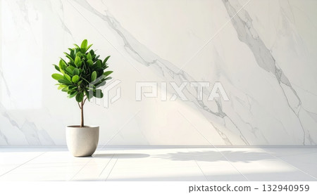 Potted houseplant decoration with green leaves and a rosemary herb in a brown pot isolated for interior home botany 132940959