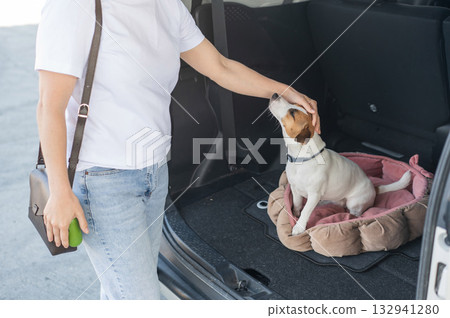 The owner strokes the dog sitting on a bed in the trunk of the car.  132941280