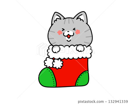 Cute cat in a Christmas boot Cute cat in a Christmas boot 132941339