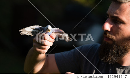 Man gently holds a small bird, wings outstretched. A moment of connection between nature and humanity. Man gently holds a small bird, wings outstretched. A moment of connection between nature and humanity. 132941347
