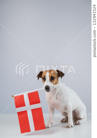 Jack Russell Terrier dog holding South Korea flag on white background. Jack Russell Terrier dog holding South Korea flag on white background. 132941524
