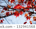 Autumn leaves 132941568
