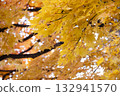 Autumn leaves 132941570