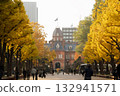 Autumn leaves at the Hokkaido Red Brick Government Building 132941571