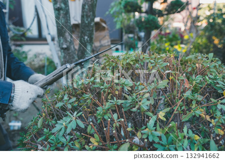 pruning, gardening, gents 132941662