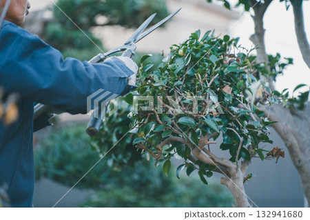 pruning, gents, male 132941680