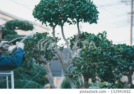 修剪 男人 男 132941682