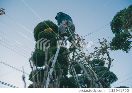 gardener, landscaper, male 132941700