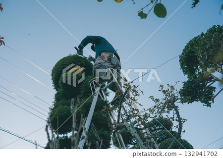 gardener, landscaper, gents 132941702