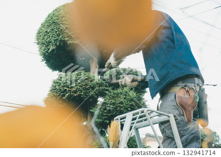 園丁 男人 男 132941714