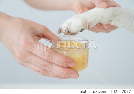 Woman applying wax to dog's paw. Woman applying wax to dog's paw. 132942057