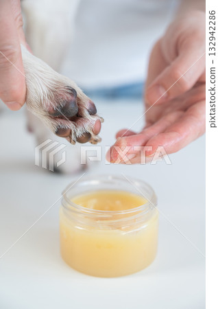 Woman applying wax to dog's paw.  132942286