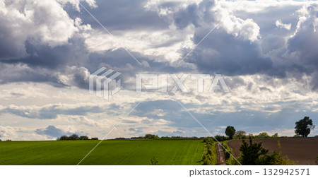 Expansive green fields under a dramatic sky filled with clouds during the late afternoon Expansive green fields under a dramatic sky filled with clouds during the late afternoon 132942571