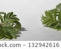 White background with green leaves to showcase your product, advertising. 132942616