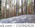 A gray stone podium against a forest background is a natural natural podium for advertising. 132942626