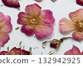 A set of dried pink flowers, rosehip buds and green leaves. medicinal plant. herbarium, scrapbooking 132942925