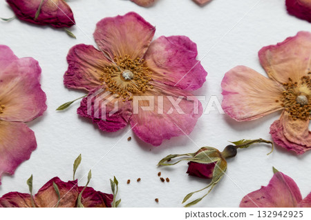 A set of dried pink flowers, rosehip buds and green leaves. medicinal plant. herbarium, scrapbooking A set of dried pink flowers, rosehip buds and green leaves. medicinal plant. herbarium, scrapbooking 132942925