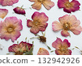 A set of dried pink flowers, rosehip buds and green leaves. medicinal plant. herbarium, scrapbooking 132942926