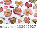 A set of dried pink flowers, rosehip buds and green leaves. medicinal plant. herbarium, scrapbooking 132942927