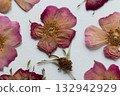A set of dried pink flowers, rosehip buds and green leaves. medicinal plant. herbarium, scrapbooking 132942929