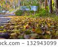 The roads covered with fallen leaves welcome autumn with vibrant colors 132943099