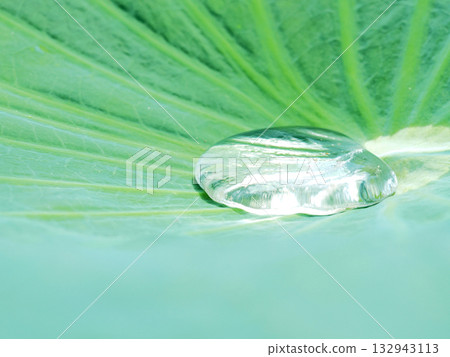 荷葉上殘留的水滴 132943113