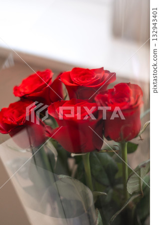 Vibrant red roses in clear cellophane wrap with soft natural light and shallow focus Vibrant red roses in clear cellophane wrap with soft natural light and shallow focus 132943401