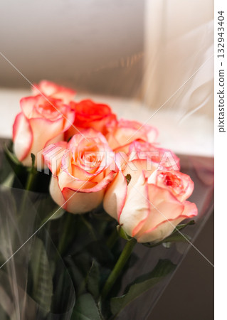 Soft pink-edged roses in delicate cellophane wrap with dreamy natural light 132943404