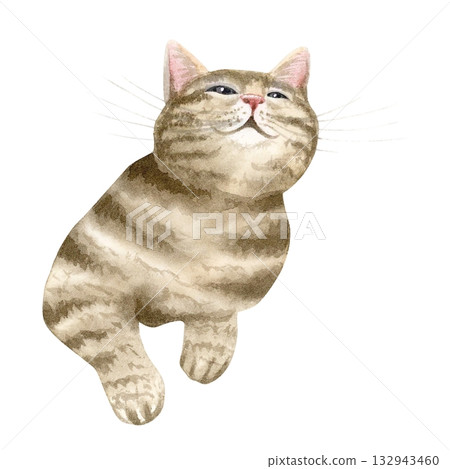 Funny brown tabby cat watercolor illustration isolated on white. Hand drawn striped pet laying and looking up clip art for domestic animals designs, rescue centers, foster homes and adoption materials Funny brown tabby cat watercolor illustration isolated on white. Hand drawn striped pet laying and looking up clip art for domestic animals designs, rescue centers, foster homes and adoption materials 132943460