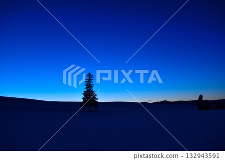Twilight Winter Biei Town Christmas Tree Twilight Winter Biei Town Christmas Tree 132943591