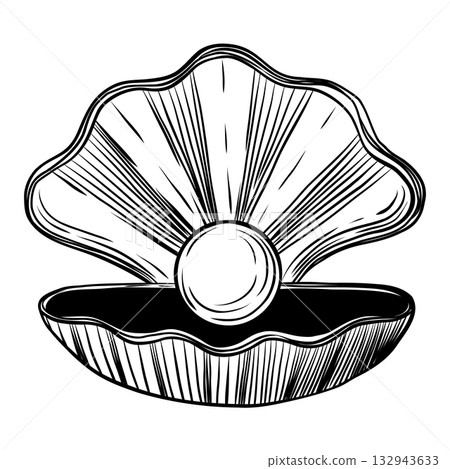 Oyster Shell with Pearl Hand Drawn Sketch Oyster Shell with Pearl Hand Drawn Sketch 132943633