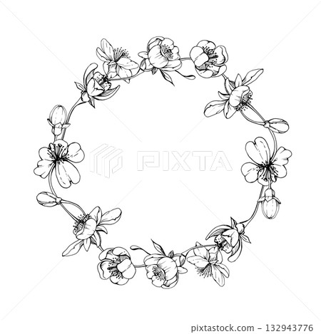 Cherry sakura white flower and bud on stems, hand drawn vector ink, apple blossom early spring wildflower botanical illustration. Isolated wreath frame, for wedding, florist shop, scrapbooking 132943776
