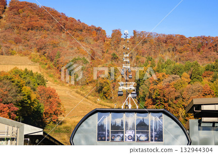 Three stages of autumn leaves from Iwatake Mountain Resort in autumn Three stages of autumn leaves from Iwatake Mountain Resort in autumn 132944304